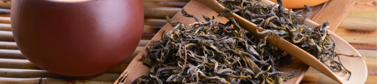 Green Tea Alkymia di Grandha, os benefícios do chá verde na terapia capilar.